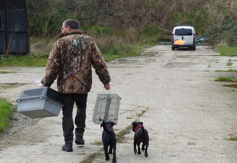 Bredase-rattenvangers-op-patrouille